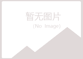 铜川半雪化学有限公司